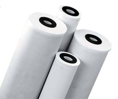 Pentek RFC Granular Activated Carbon Filter Carbon Filter - Filtersource.com